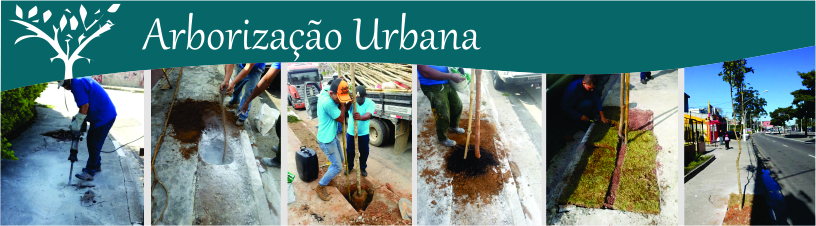 ARBORIZAÇÃO URBANA